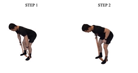 the bent over row explained in two steps