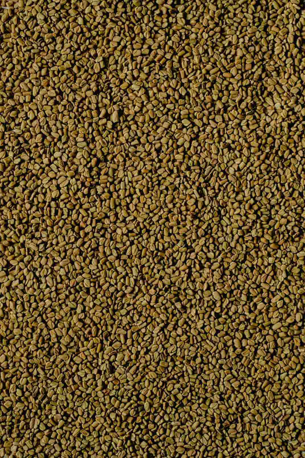 pile-of-fenugreek-seeds