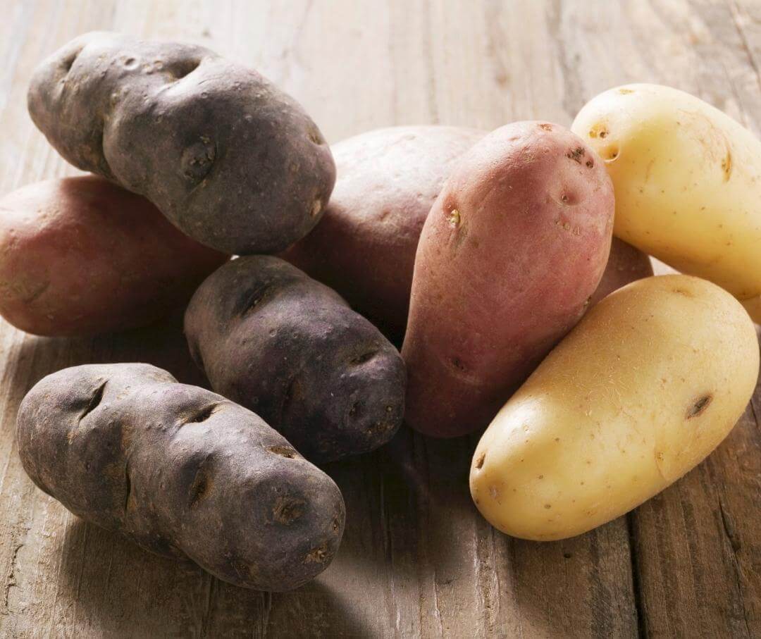 raw whole white, red, and purple potatoes on a wooden table