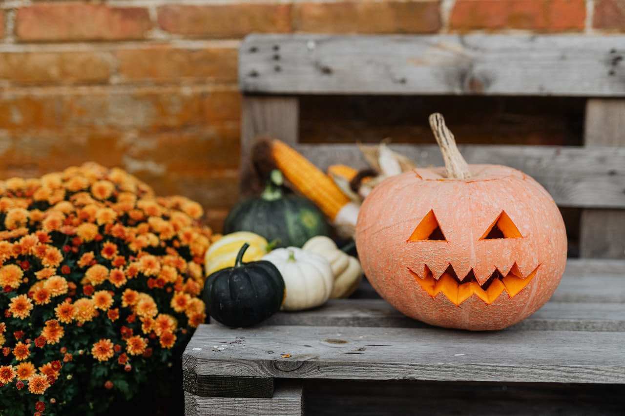 pumpkin-on-table