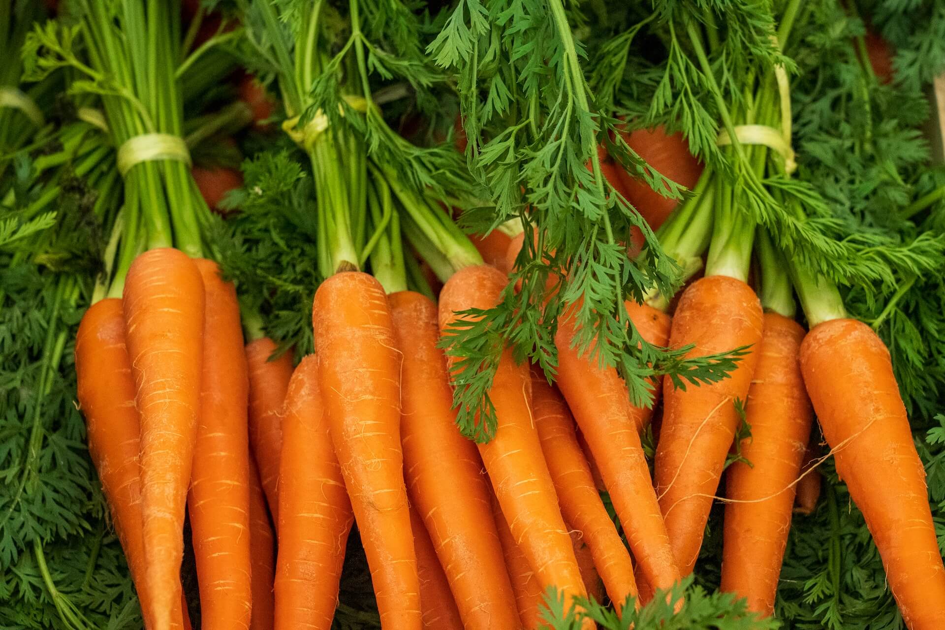 healthy carrots