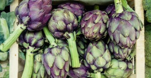 Close up shot of artichokes, a low-glycemic vegetable, with long green stems and purple and green leaves