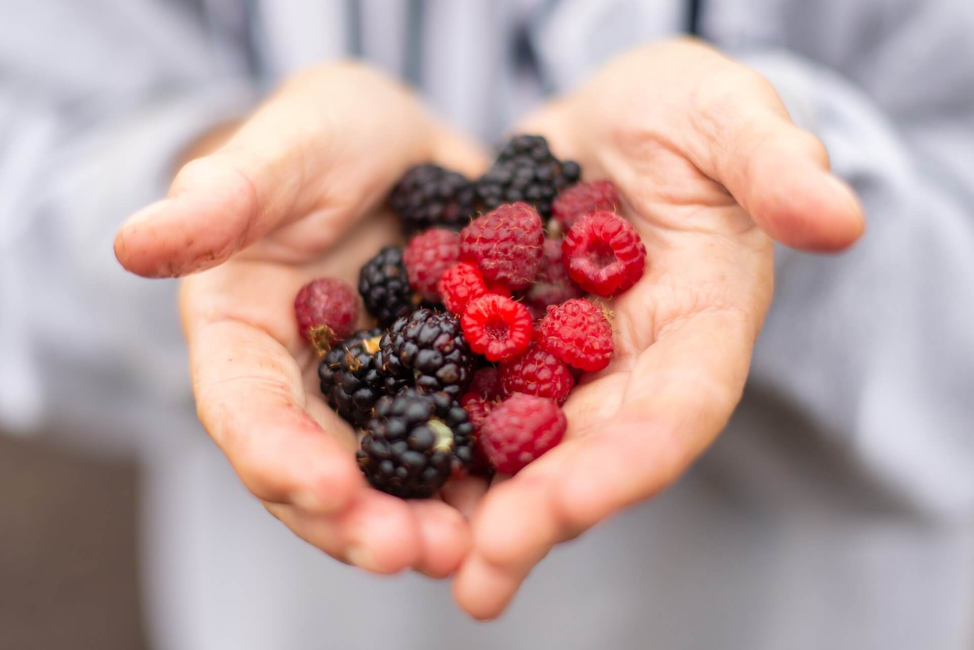 person showing berries on it's hands