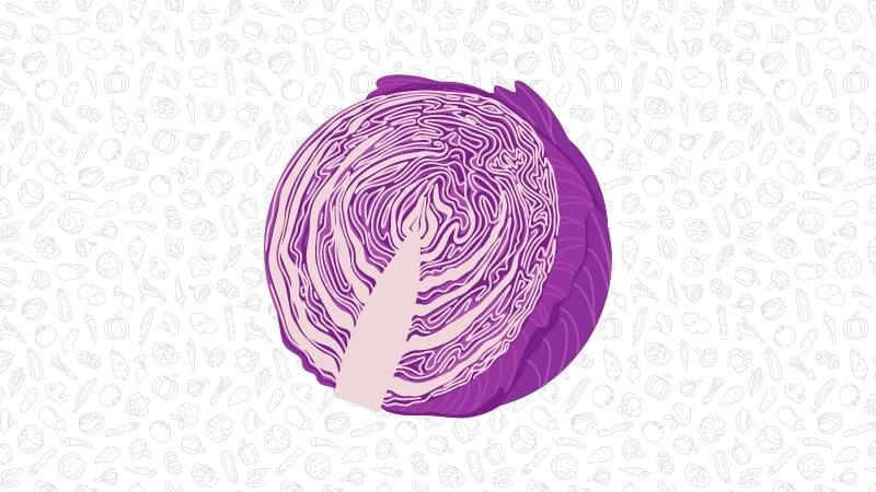 An illustration of a half head of red cabbage