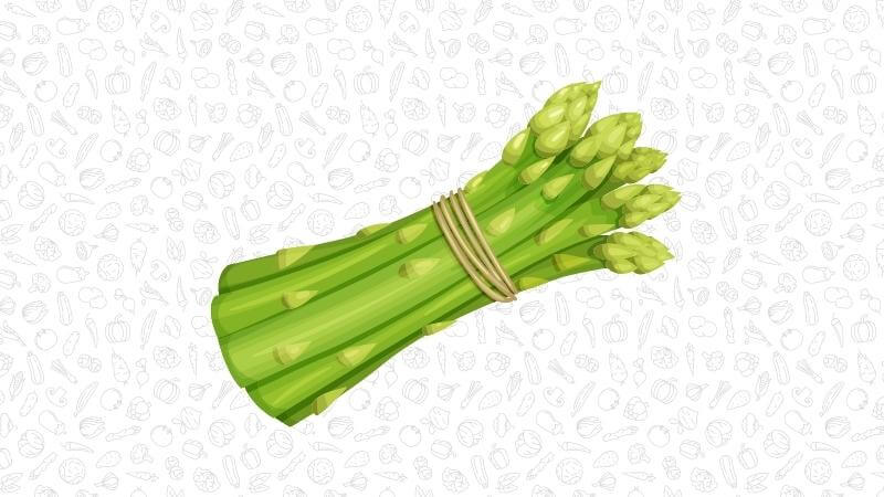 An illustration of a bunch of asparagus