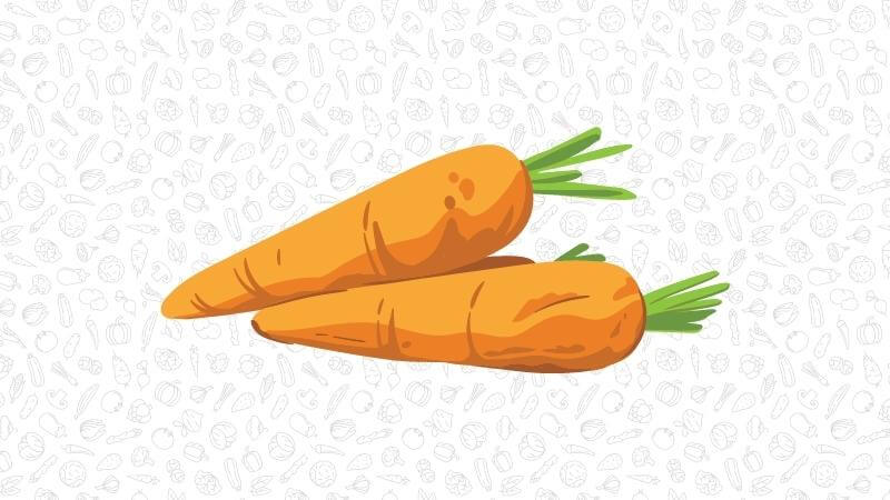 An illustration of two raw carrots