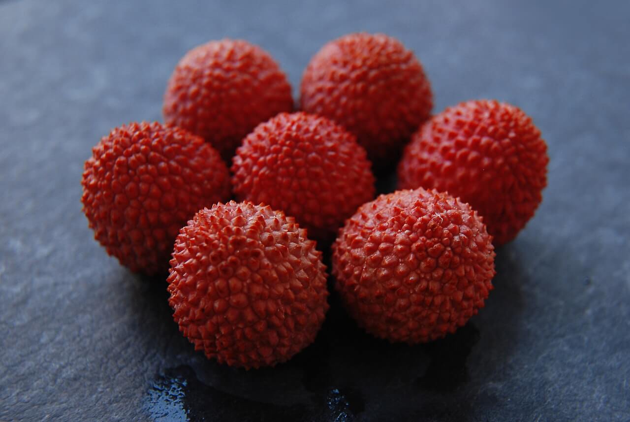 lychee-fruits